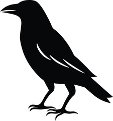 crow on a white background