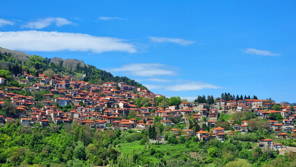 Obraz premium metsovo city in spring season greece