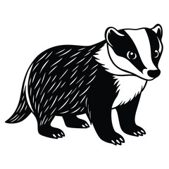 Obraz premium European Badger illustration white background