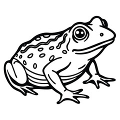 Naklejka premium Golden Toad illustration white background