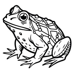 Naklejka premium Golden Toad illustration white background