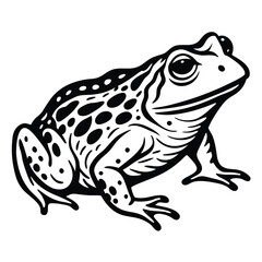 Naklejka premium Golden Toad illustration white background