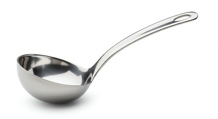 Stainless steel ladle
