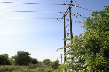 electric power lines