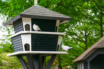 big dovecote in the park