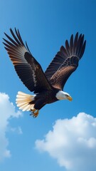 Obraz premium Eagle in flight photo against blue sky with white clouds for nature, wildlife, and freedom advertising background