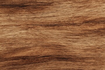Fototapeta premium Rich, dark wood grain texture. Warm brown tones.
