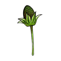 Green branch of strawberry berry hand drawn watercolor. Blossom, flower bud. Fruit farm. Botanical element. Summer seasonal illustration.