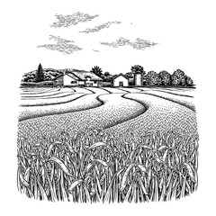 Wheat Field and Farm with Cloudy Sky Black and White Outline Line Art Drawing Illustration