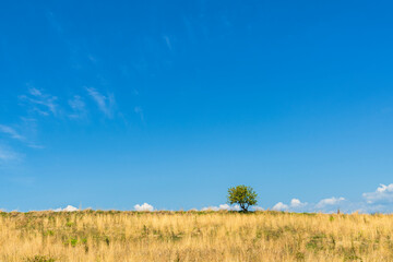 Obraz premium summer countryside landscape inside val d'agri, basilicata