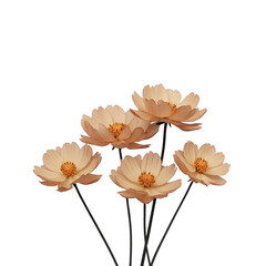 Five delicate beige flowers with layered petals and yellow centers are arranged against plain background, creating serene and elegant composition