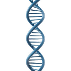3D illustration of blue DNA double helix structure, representing genetics and molecular biology concepts. image highlights twisted ladder shape of DNA, emphasizing its scientific significance