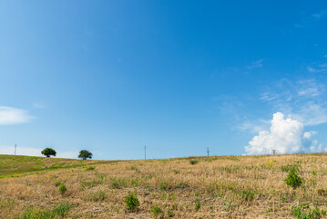 Obraz premium summer countryside landscape inside val d'agri, basilicata