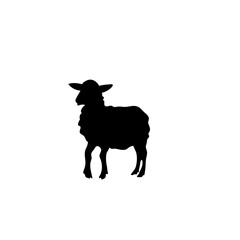 Sheep silhouette icon vector