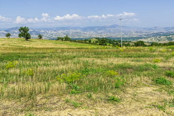 summer countryside landscape inside val d'agri, basilicata