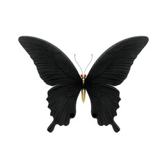 Obraz premium Black butterfly with intricate wing patterns and vibrant red eyespots creates striking contrast against background. delicate details of its wings are captivating