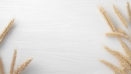 Wheat ears on white wood background