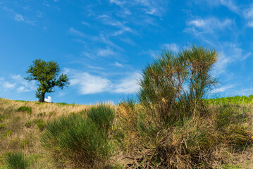 summer countryside landscape inside val d'agri, basilicata