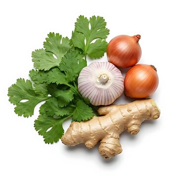 Onion and garlic with green coriandee and jinger top view image white background.
