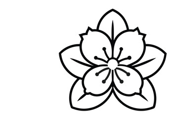 Obraz premium Cherry Flower Vector Images