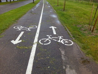 Obraz premium Wet bicycle lane with directional signs on asphalt path surrounded by green grass after rain