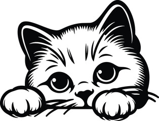 Cute Kitten Peeking Out