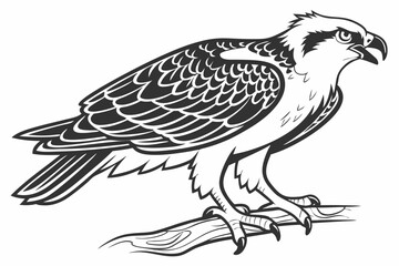 eagle vector illustration