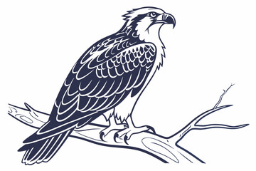 Fototapeta premium eagle vector illustration