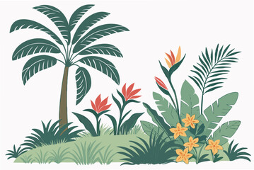 tropical palm tree