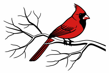 bird on a branch
