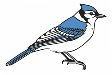 blue bird on a branch