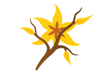 witch-hazel-shiluitilvector-art-illustriton-white-.eps