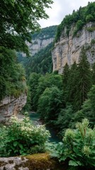 Obraz premium Verdant River Valley with White Wildflowers and Mountain Cliff