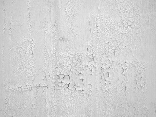 Close-up of cracked white paint on aging wooden surface texture