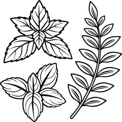 Obraz premium Hand Drawn Herb Illustration ? Black and White Line Art