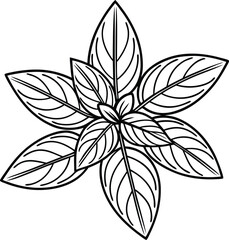 Hand Drawn Herb Illustration ? Black and White Line Art