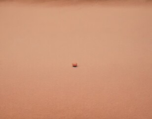 A solitary stone rests on a smooth, sandy surface, creating a serene and minimalistic scene.