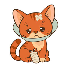 Sad orange tabby cat with cone collar and bandaged paw and ear. Chibi Flat style clean, simple design. For veterinary and children’s content, pet care blogs, greeting cards, stickers, tshirts, poster