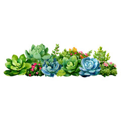 Obraz premium Collection of Colorful Succulent Plants with Various Green Shades and Delicate Flowers for Decorative Use, isolated on transparent background.