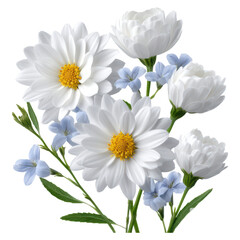 Beautiful arrangement of white daisies and delicate blue flowers with vibrant green leaves for decoration, isolated on transparent background.