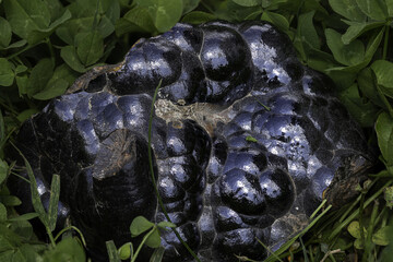 hematite mineral with characteristic metallic luster and dark bluish-black color, captured in natural environment. Perfect for educational, scientific, or geological-themed microstock illustrations 