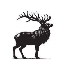 Fototapeta premium A black deer silhouette vector illustration depicts a wild mammal with antlers isolated against a white background