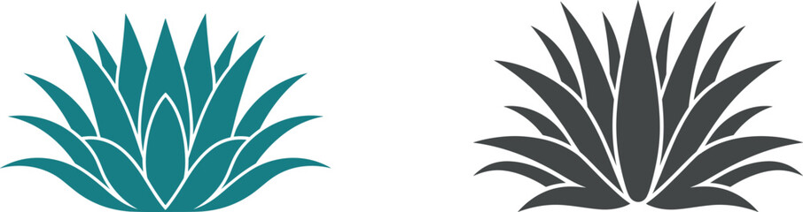 Set of agave, vector illustration.