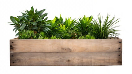 wooden planter box with plants isolated on white background PNG