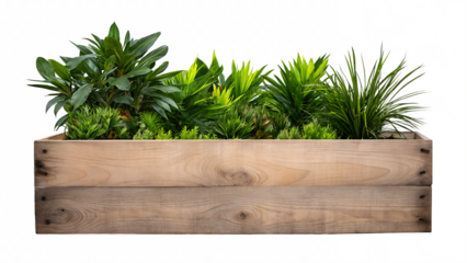 wooden planter box with plants isolated on white background PNG