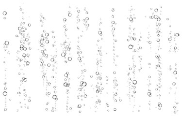 Oxygen air bubbles  flow  in water on white  background.