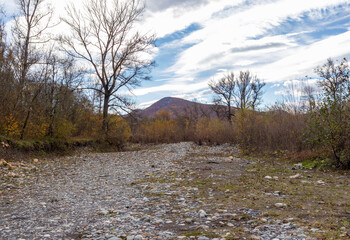 yellowing forest, the beginning of the autumn period in nature, views of the area, walking along a...
