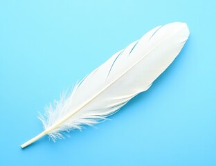 Single white feather against a vibrant blue backdrop.  A delicate, light-toned feather, positioned diagonally, stands out against a solid sky-blue surface.  