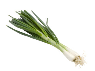 Obraz premium Green onion isolated on white background 