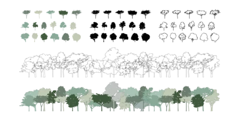 Rolgordijnen zonder boren Architectural Drawings, Minimal style cad tree line drawing, Side view, set of section wetland forest outline for landscape design drawing. Vector illustration in seperate element © feipco